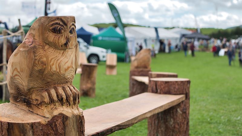 carved owl