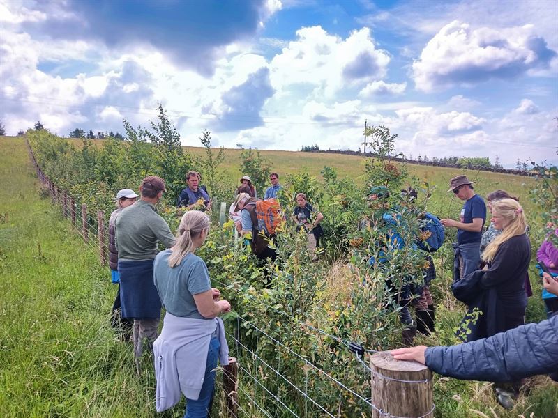 group of people gathered around the hedge