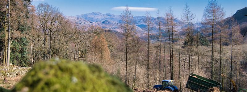 Eskdale valley