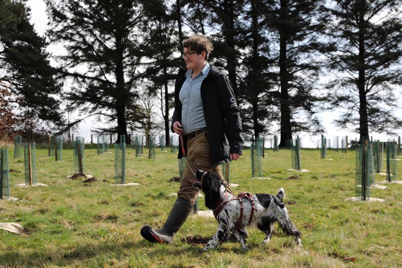 Gary walking the dog through the new planting area