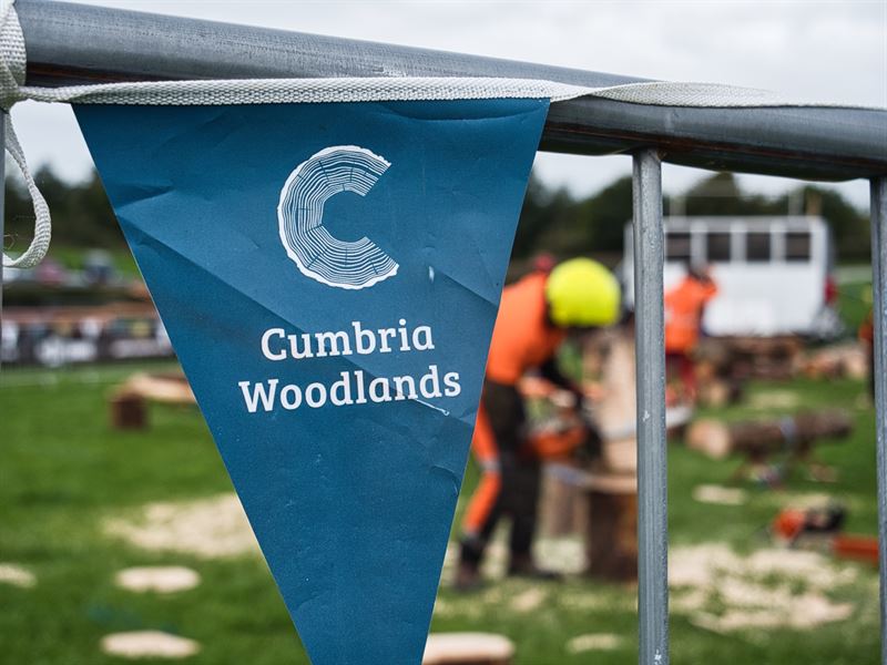 Chainsaw carving in action