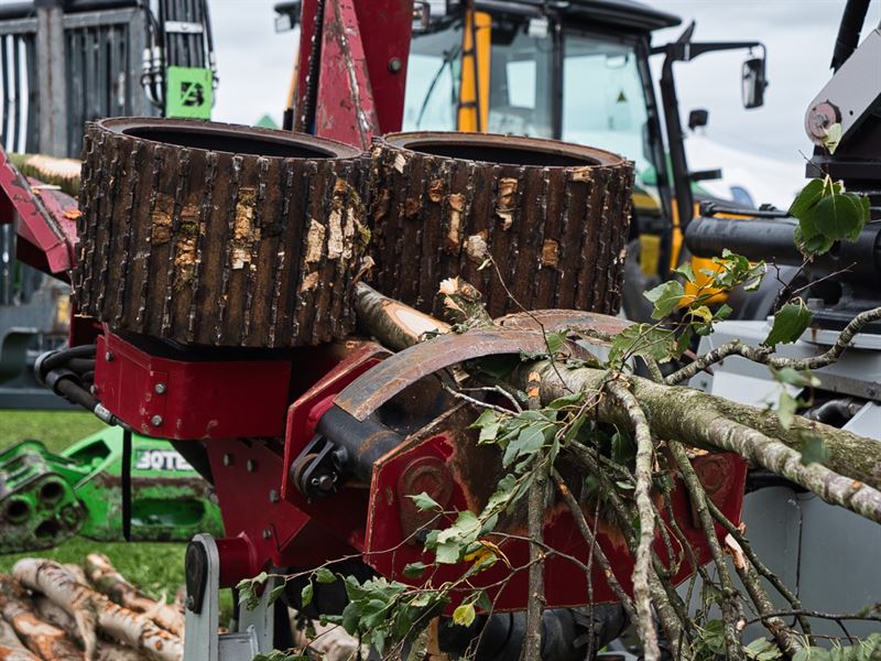 machine used for felling trees grabing a small tree