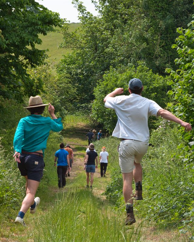 people skipping away from camera towards the woods