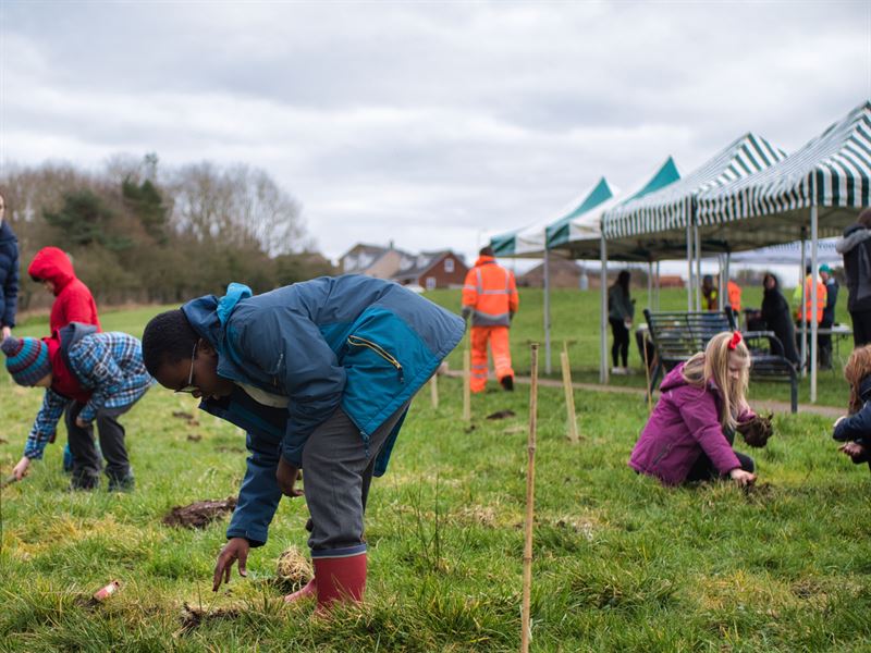 children planting trees