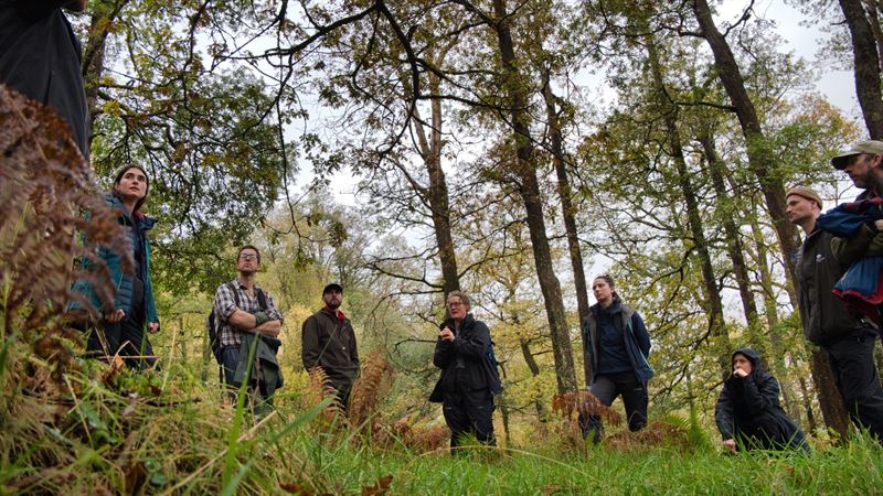 group standing in the wood talking