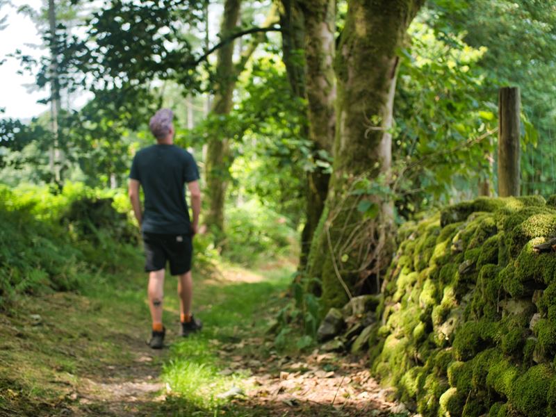 graham walking away in the woods