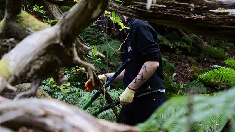 team member cutting holly with tattoos on arms