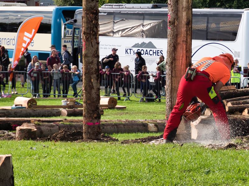 chainsaw operator felling a tree in the demo arena