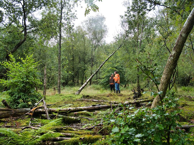 Jamie and Mel walking in the woods