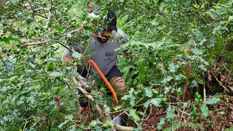 team member using a saw in thick holly