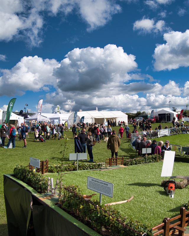 a busy scene of stalls and people at the forest festival